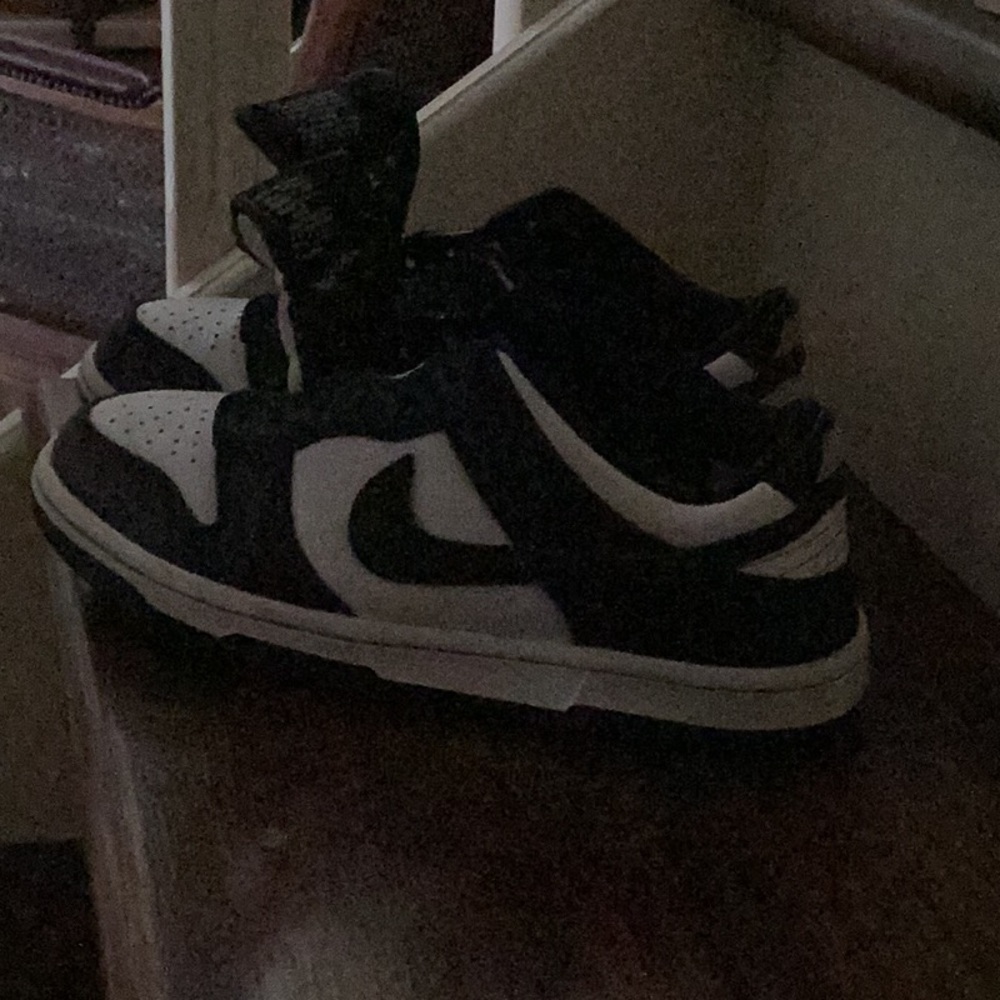Panda dunks low